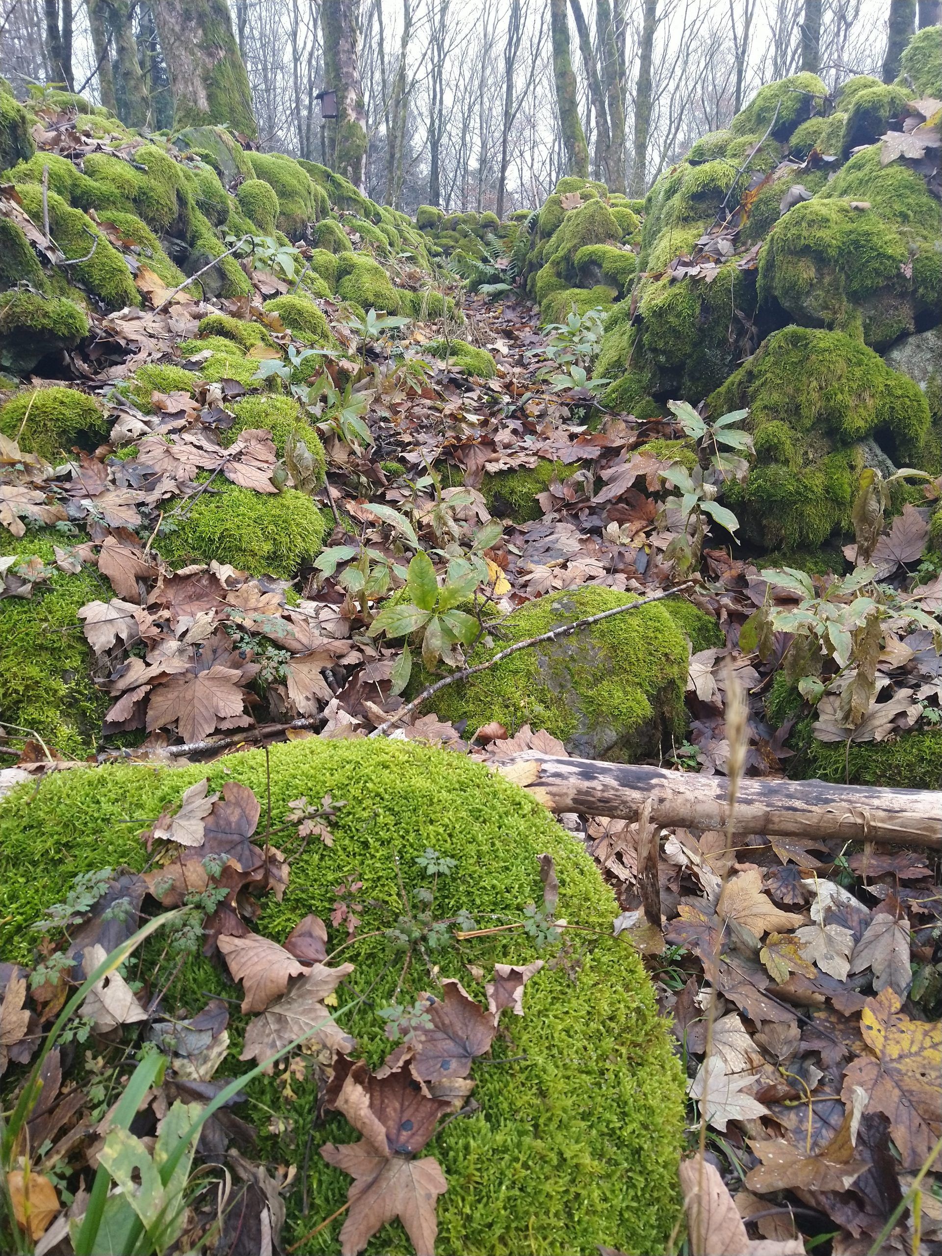 Querfeldein -Wanderung