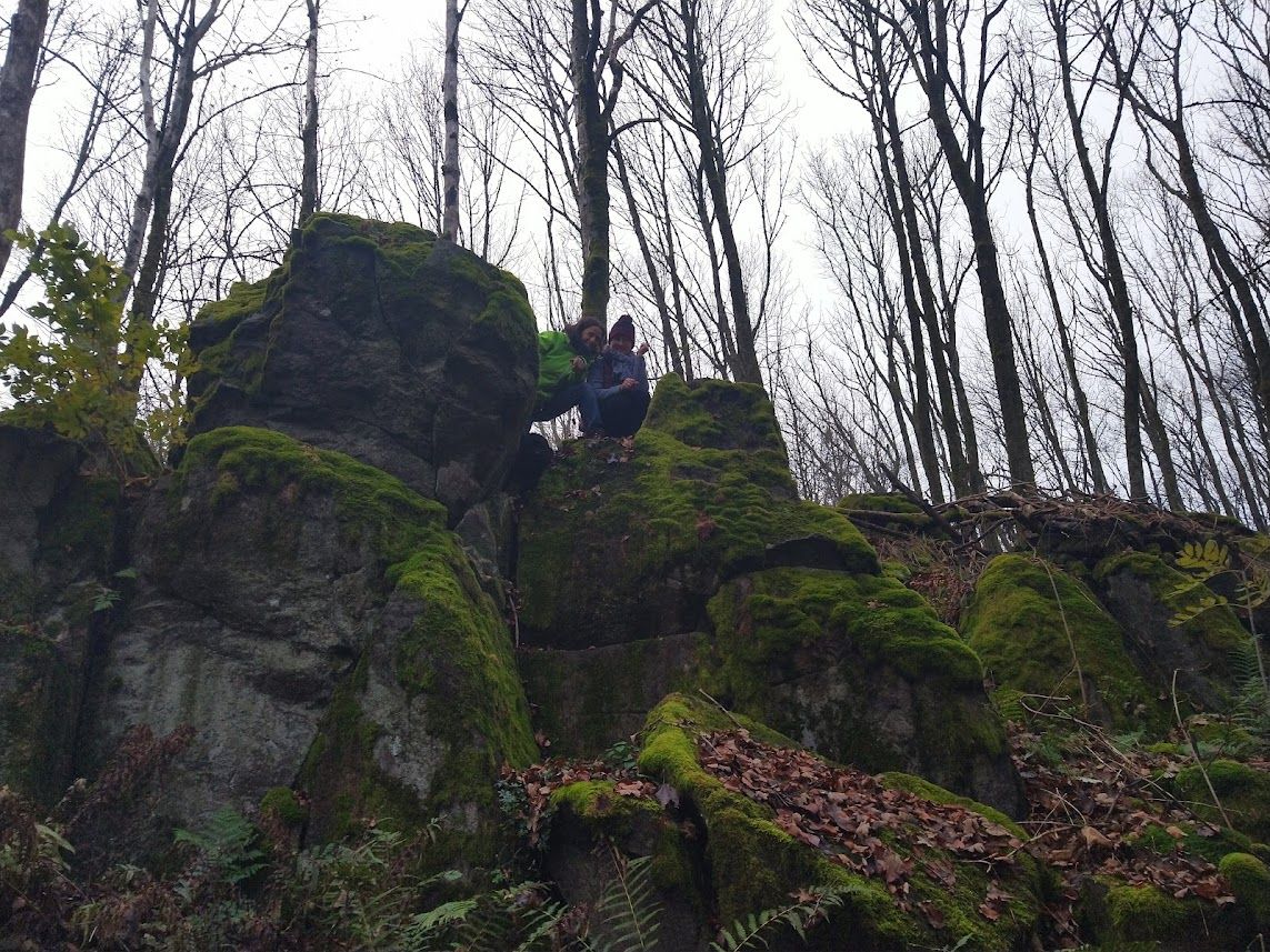 Querfeldein-Wanderung